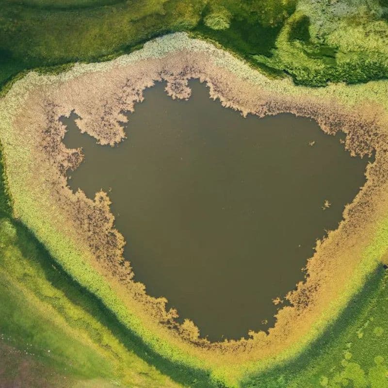 Three Lakes