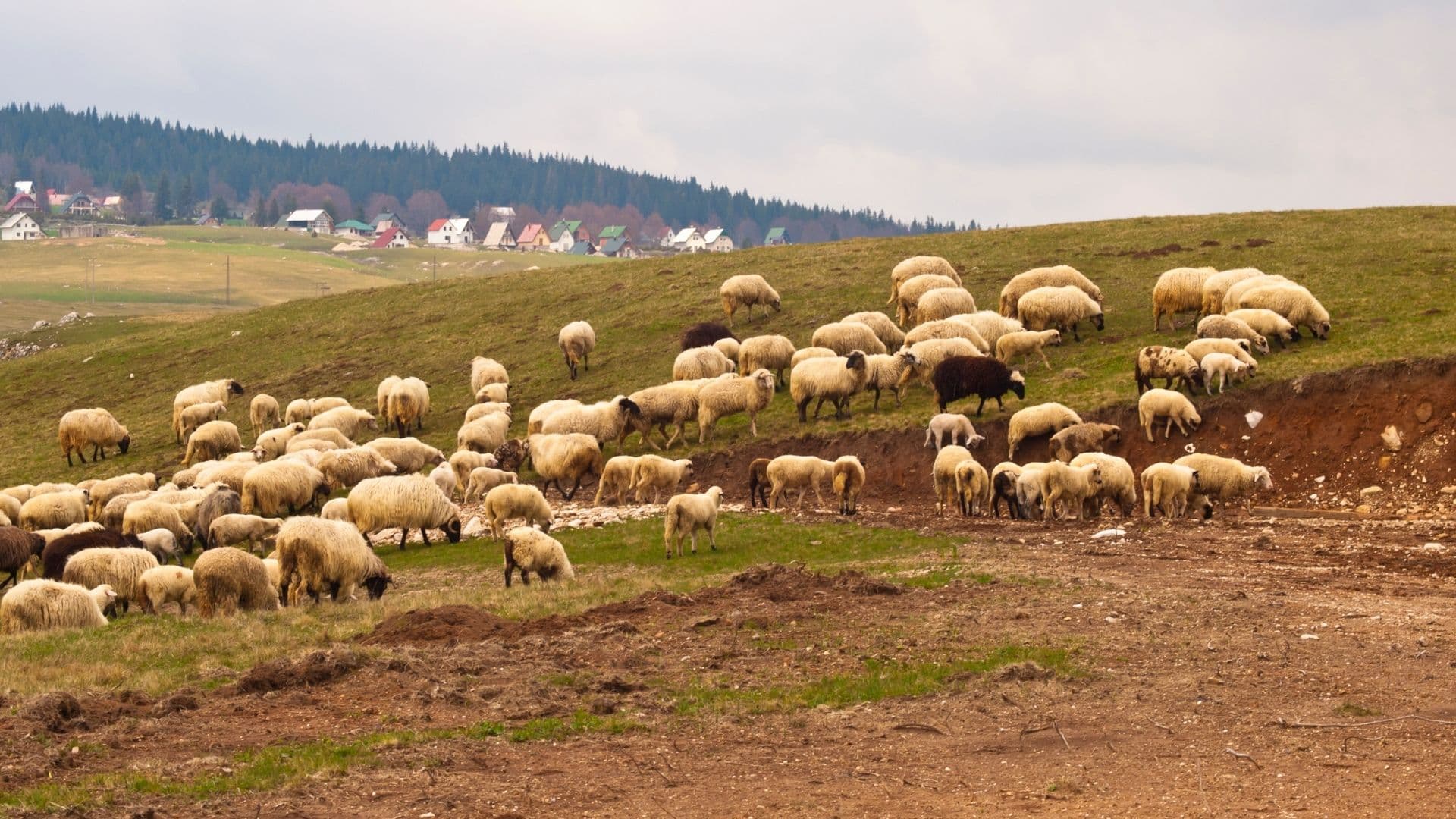 Durmitor 19