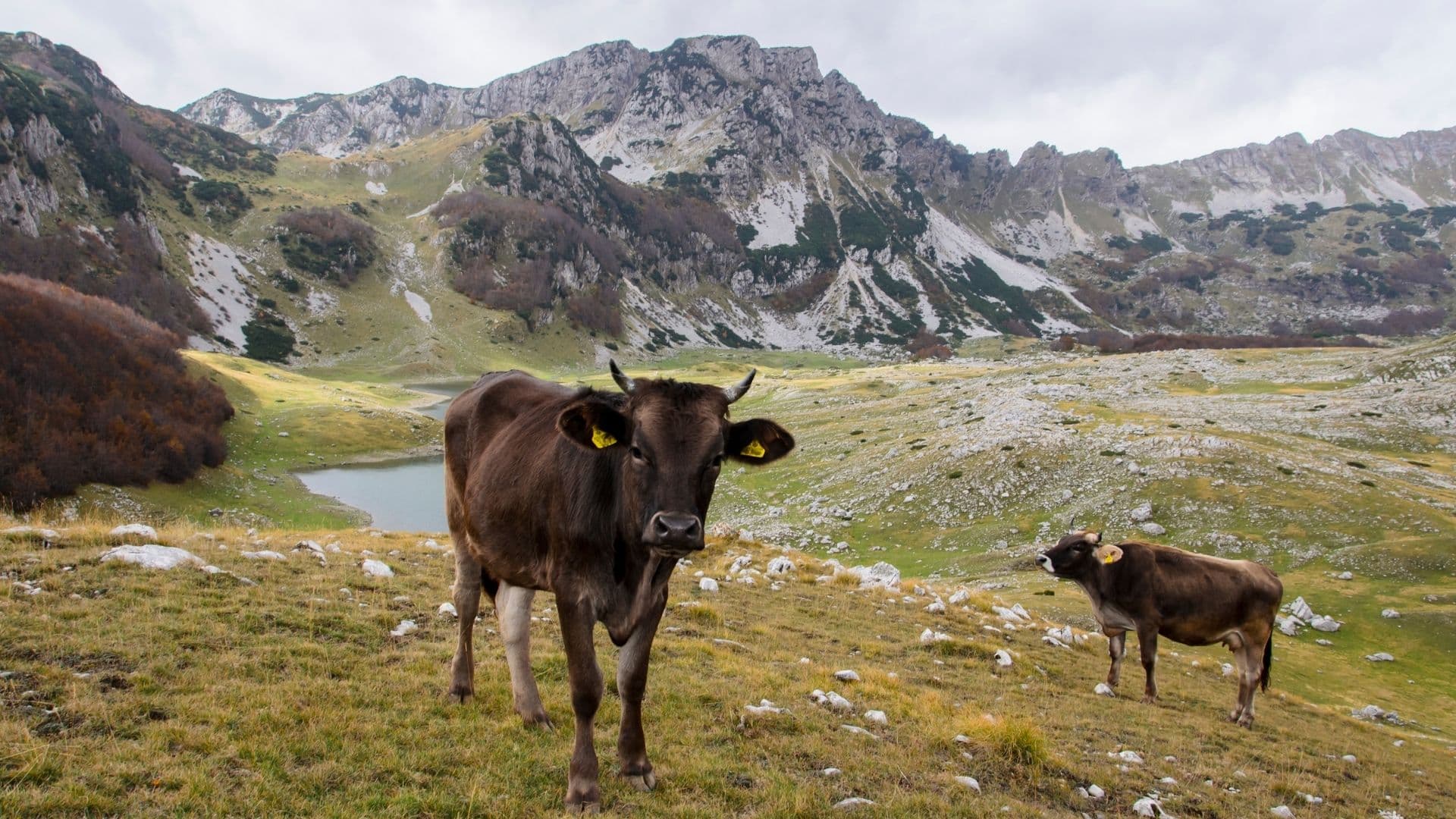 Durmitor 28
