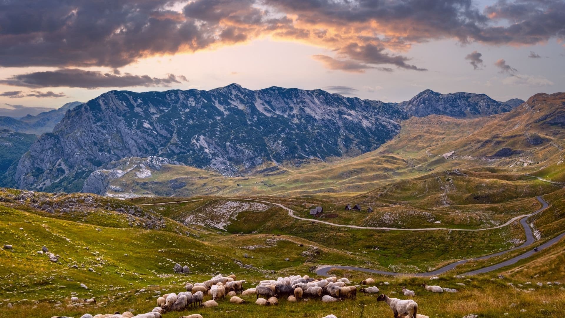 Durmitor 41