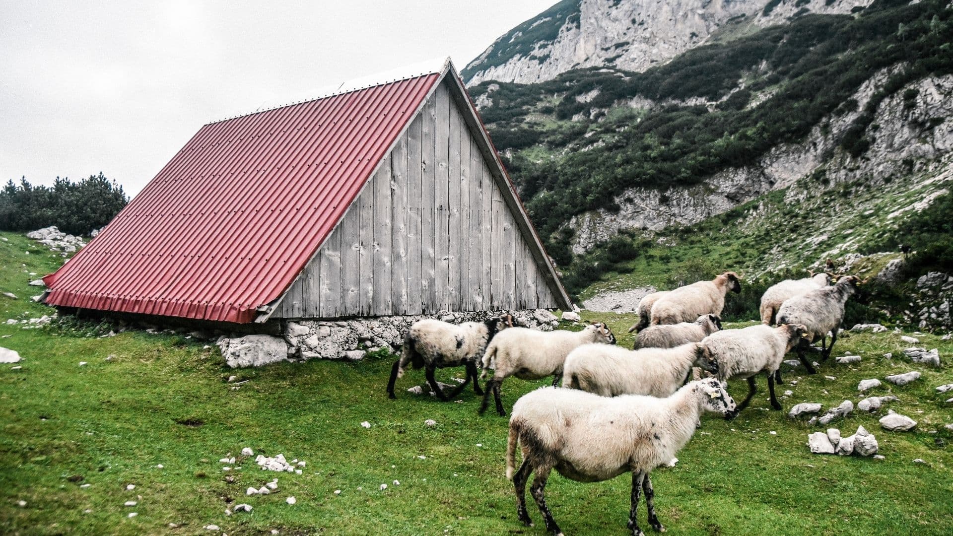 Durmitor 46