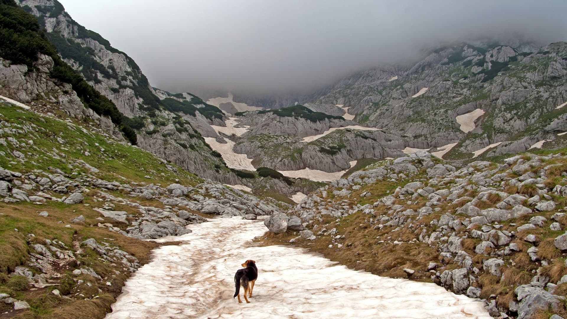 Durmitor 47