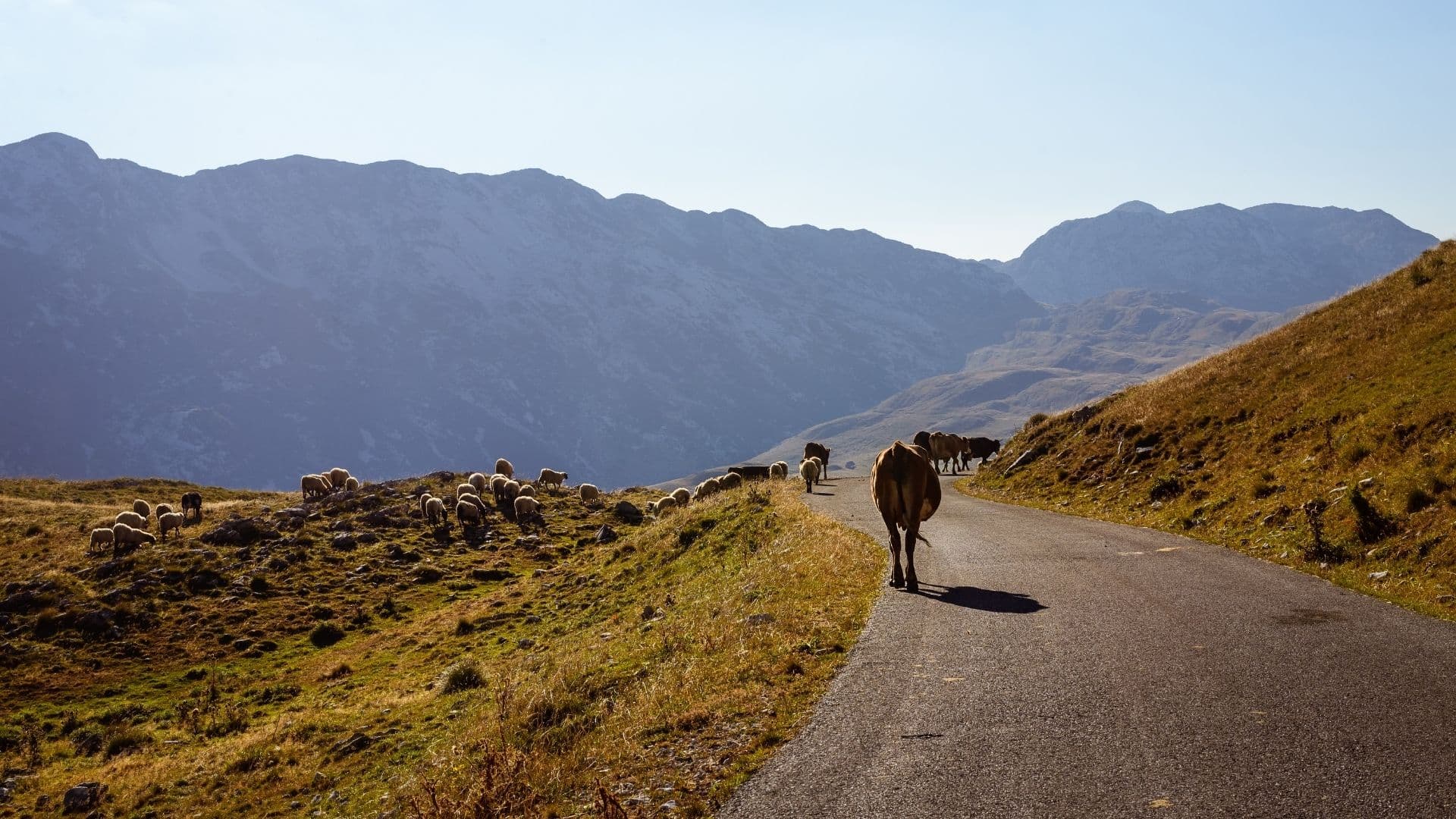 Durmitor 49