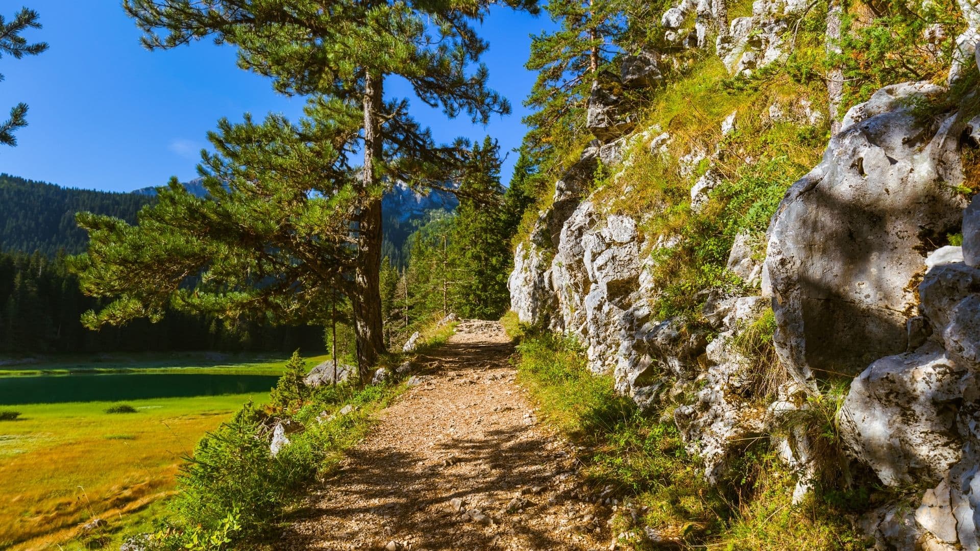 Durmitor 60
