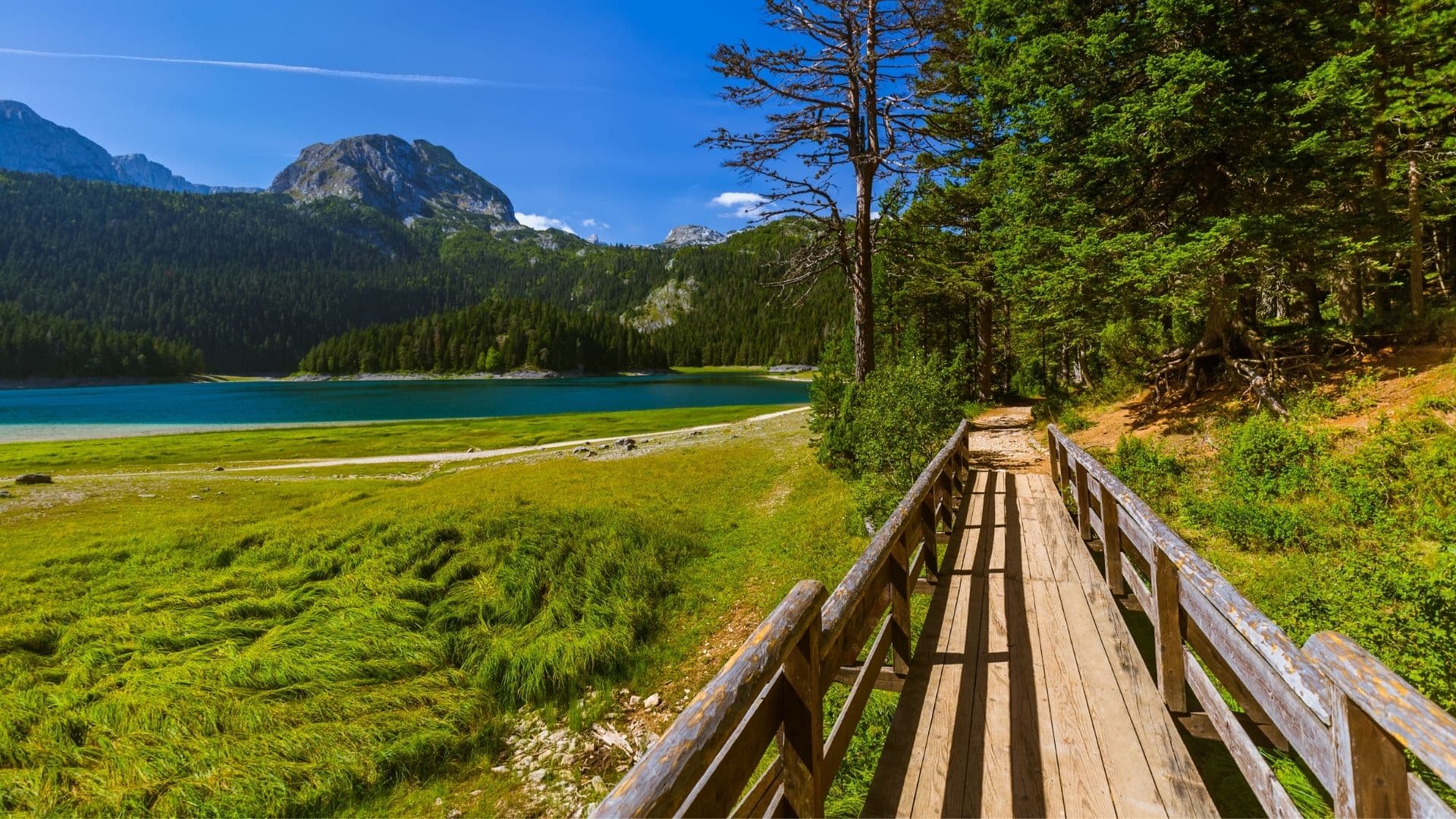 Durmitor 63