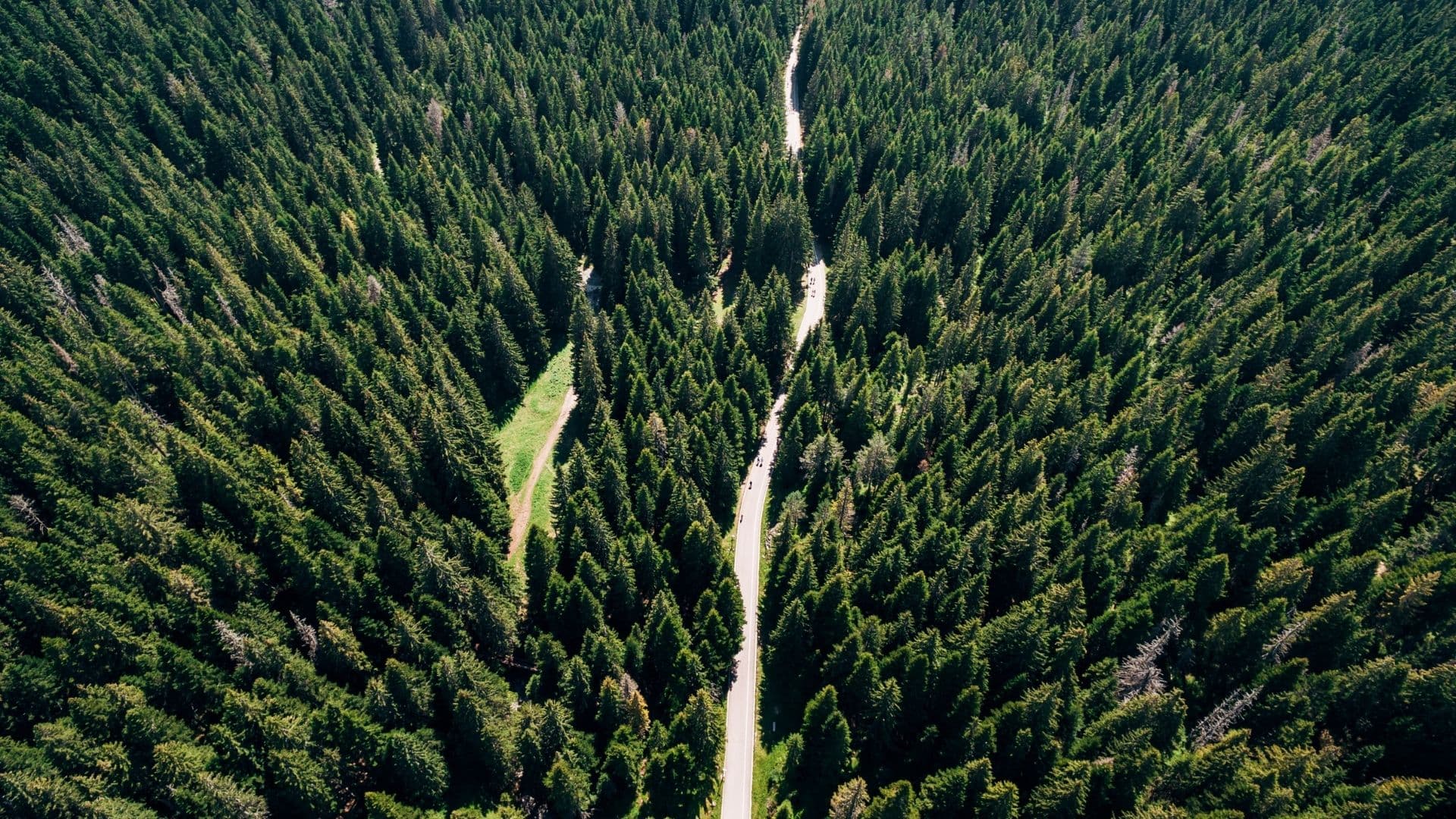 Durmitor 89